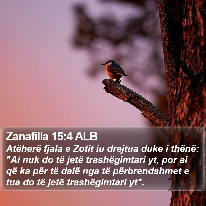 Zanafilla 15:4 ALB Bible Study