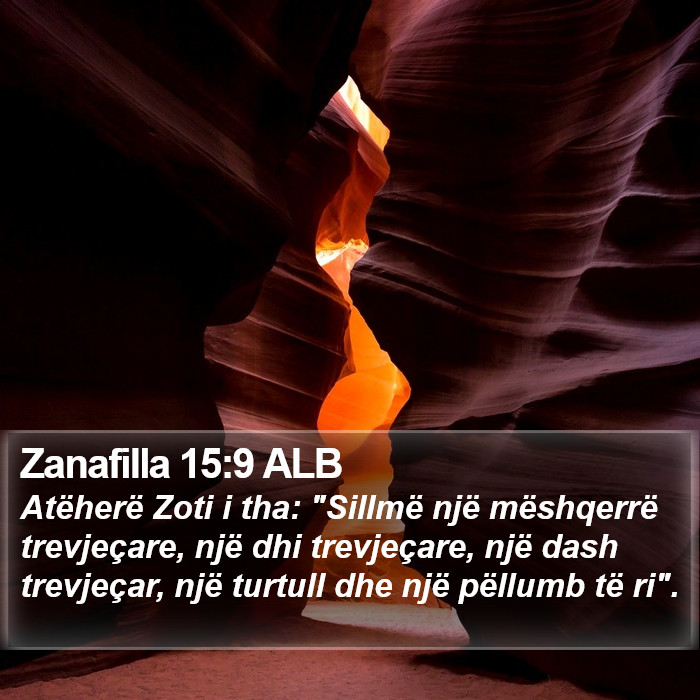 Zanafilla 15:9 ALB Bible Study