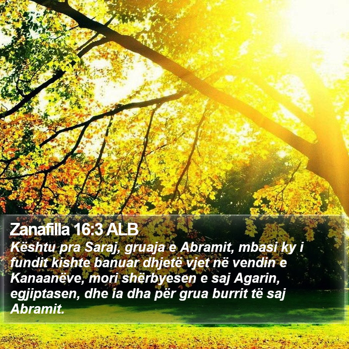 Zanafilla 16:3 ALB Bible Study