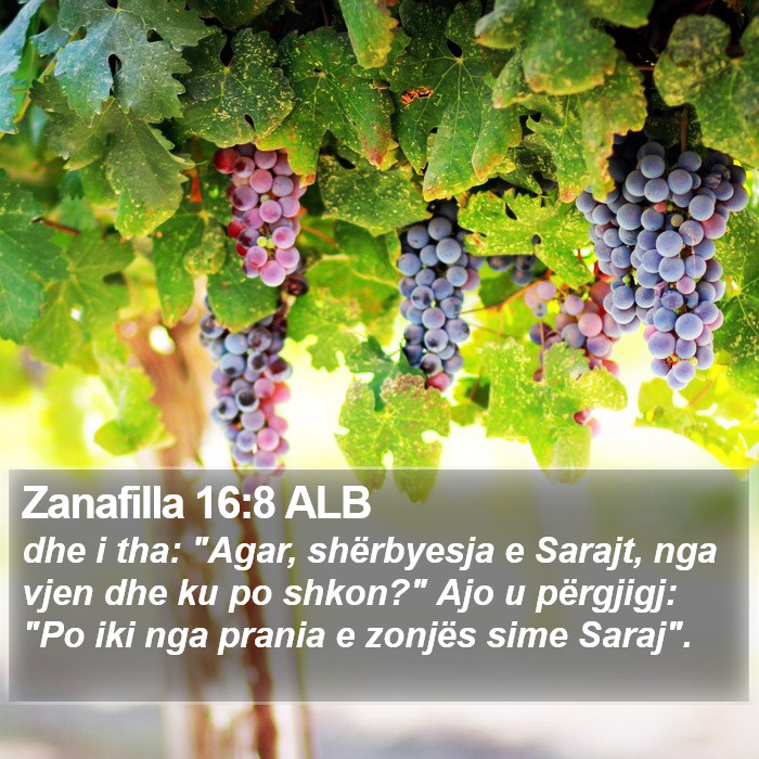 Zanafilla 16:8 ALB Bible Study