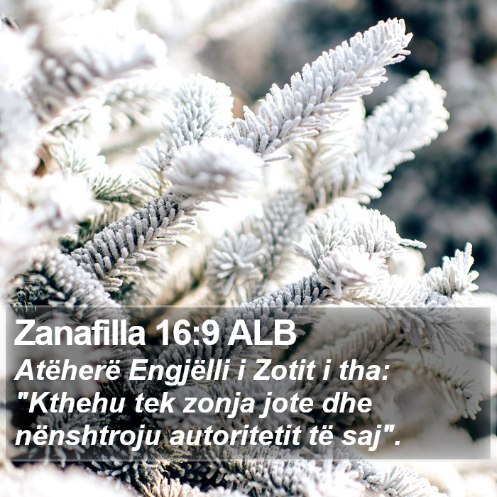 Zanafilla 16:9 ALB Bible Study