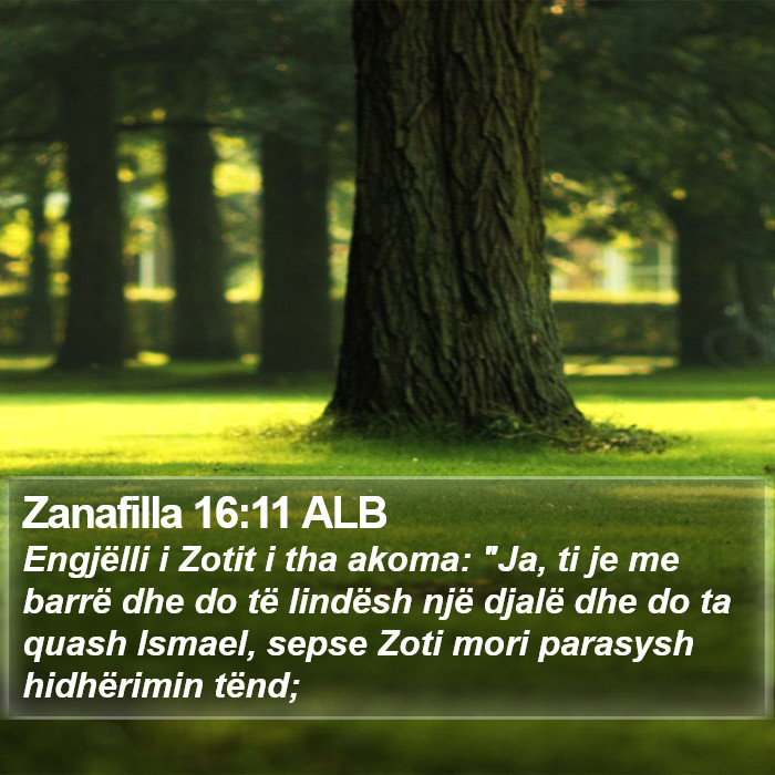 Zanafilla 16:11 ALB Bible Study