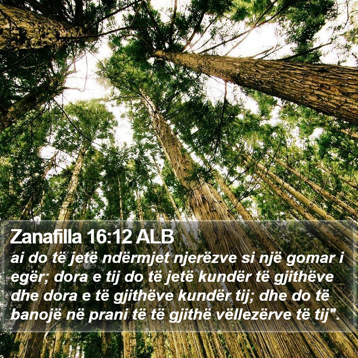 Zanafilla 16:12 ALB Bible Study