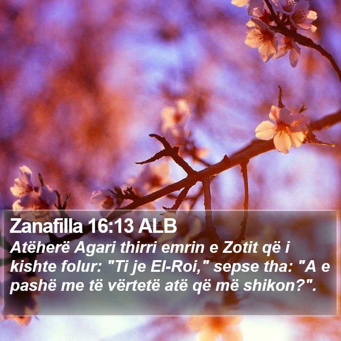 Zanafilla 16:13 ALB Bible Study