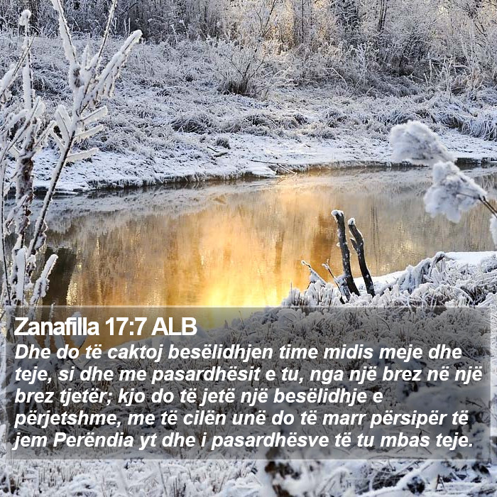 Zanafilla 17:7 ALB Bible Study