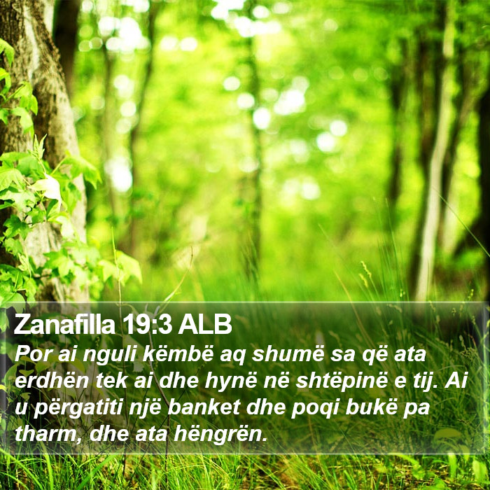 Zanafilla 19:3 ALB Bible Study