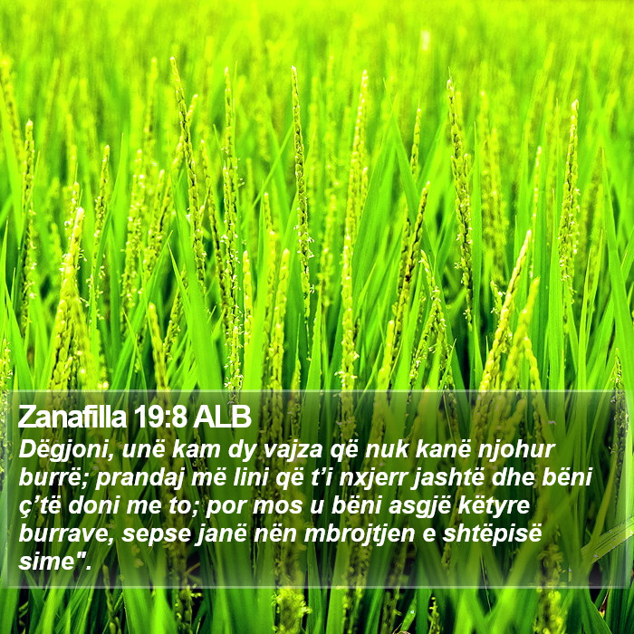Zanafilla 19:8 ALB Bible Study