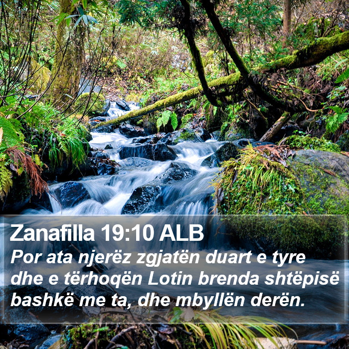 Zanafilla 19:10 ALB Bible Study