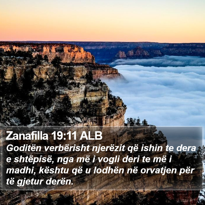 Zanafilla 19:11 ALB Bible Study