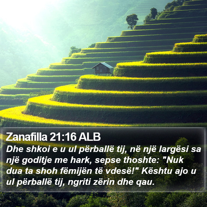 Zanafilla 21:16 ALB Bible Study