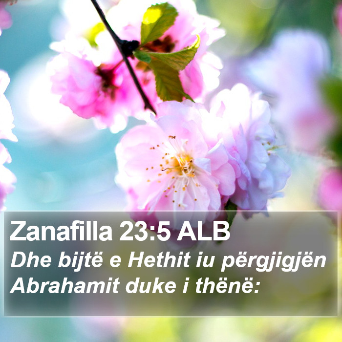 Zanafilla 23:5 ALB Bible Study