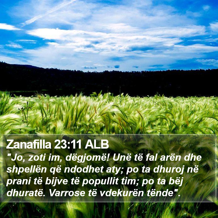 Zanafilla 23:11 ALB Bible Study