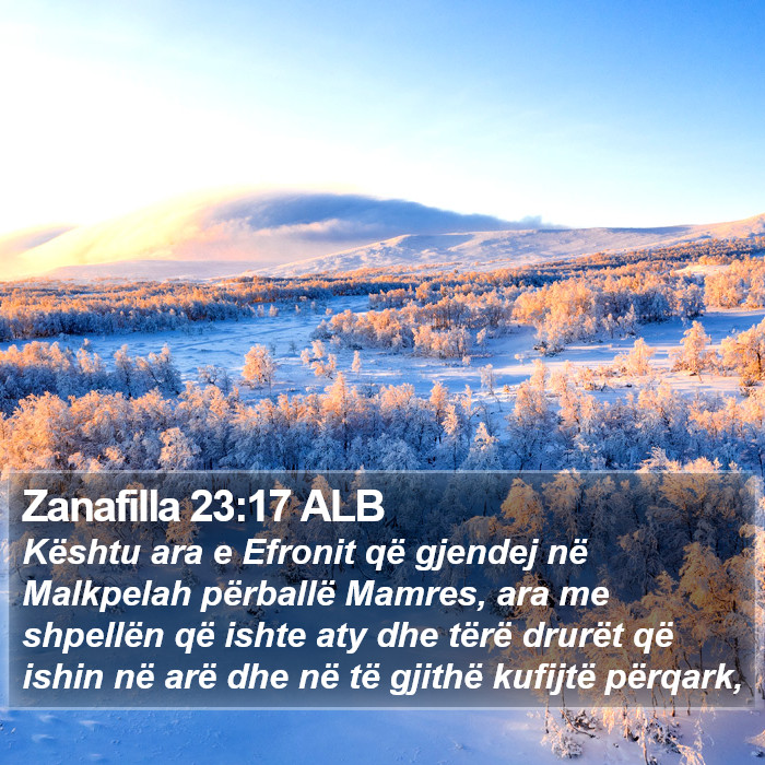 Zanafilla 23:17 ALB Bible Study