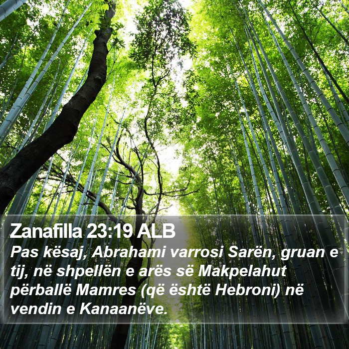 Zanafilla 23:19 ALB Bible Study