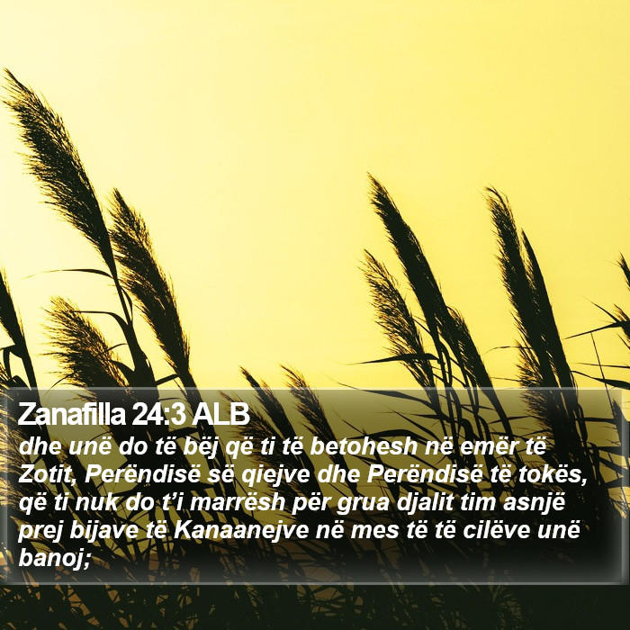 Zanafilla 24:3 ALB Bible Study