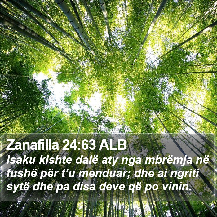 Zanafilla 24:63 ALB Bible Study