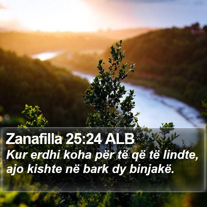 Zanafilla 25:24 ALB Bible Study