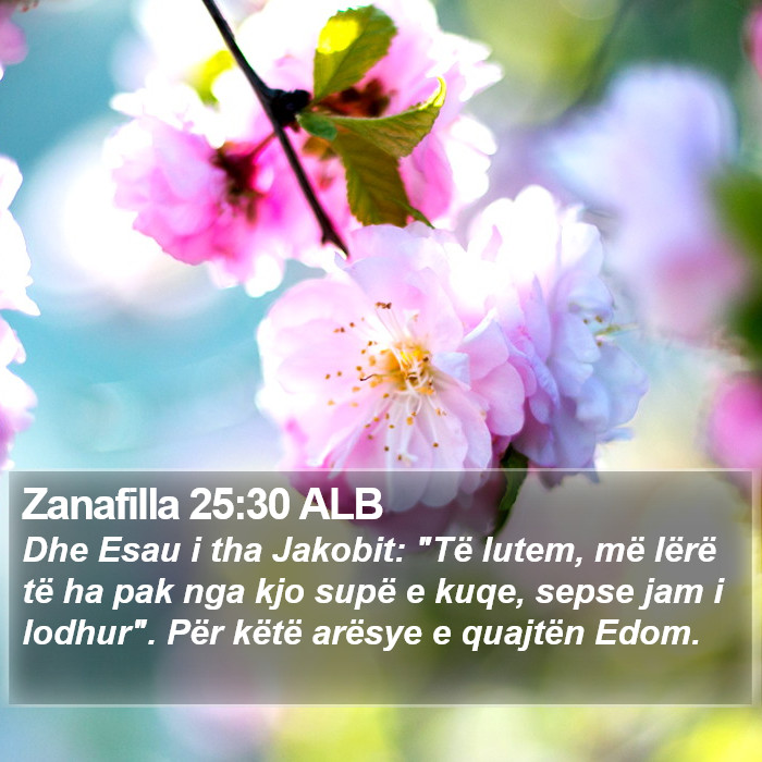 Zanafilla 25:30 ALB Bible Study