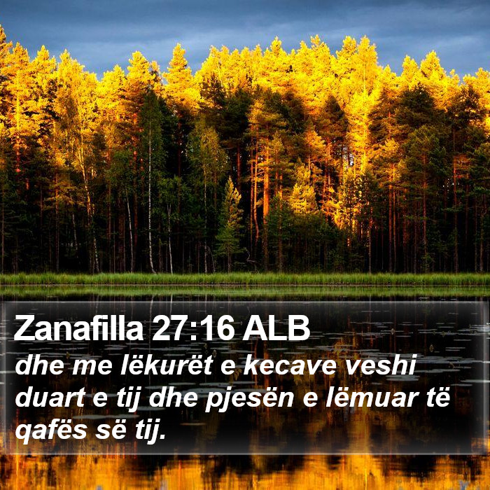 Zanafilla 27:16 ALB Bible Study