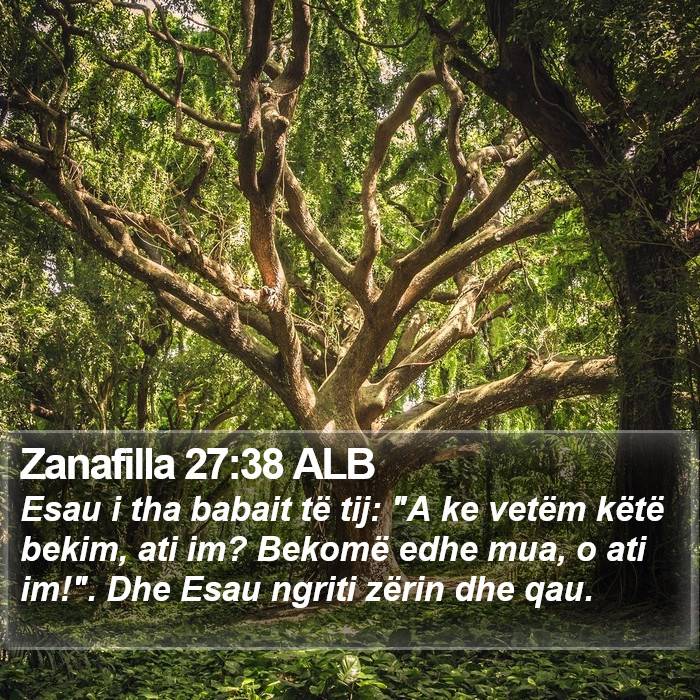Zanafilla 27:38 ALB Bible Study