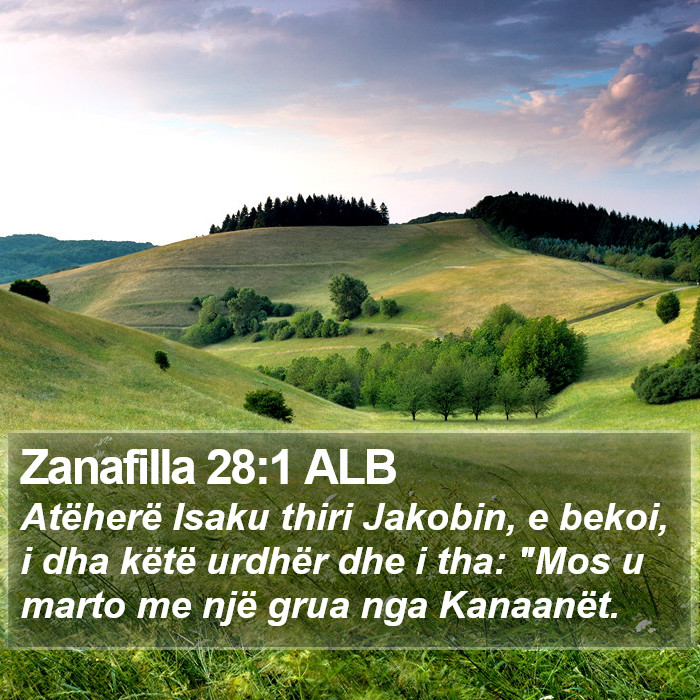 Zanafilla 28:1 ALB Bible Study