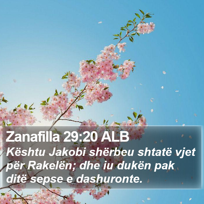 Zanafilla 29:20 ALB Bible Study