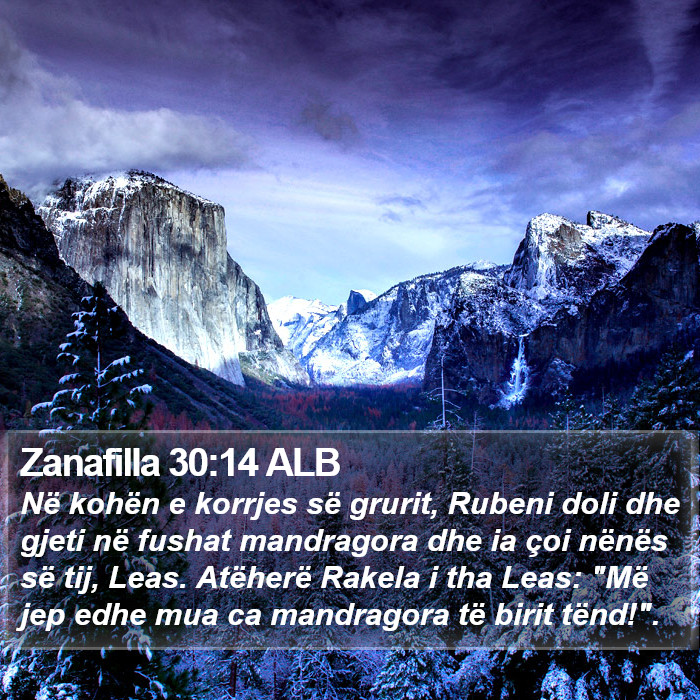 Zanafilla 30:14 ALB Bible Study