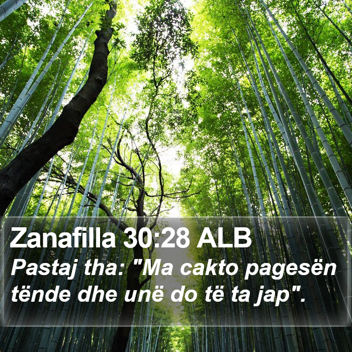 Zanafilla 30:28 ALB Bible Study