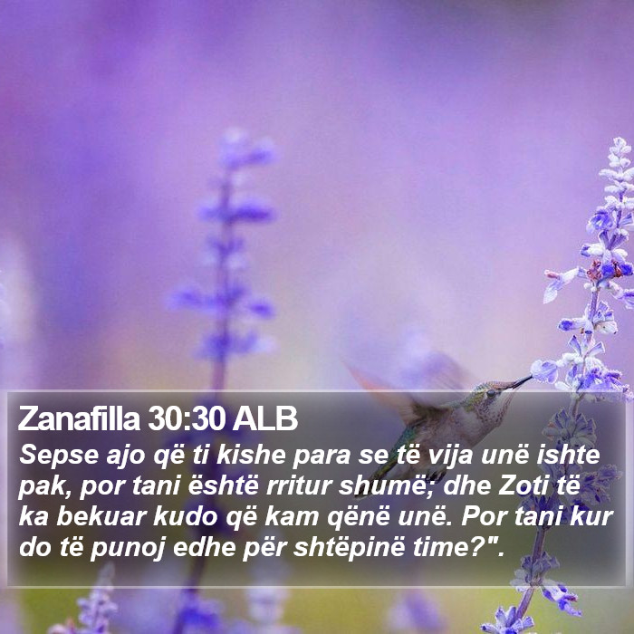 Zanafilla 30:30 ALB Bible Study