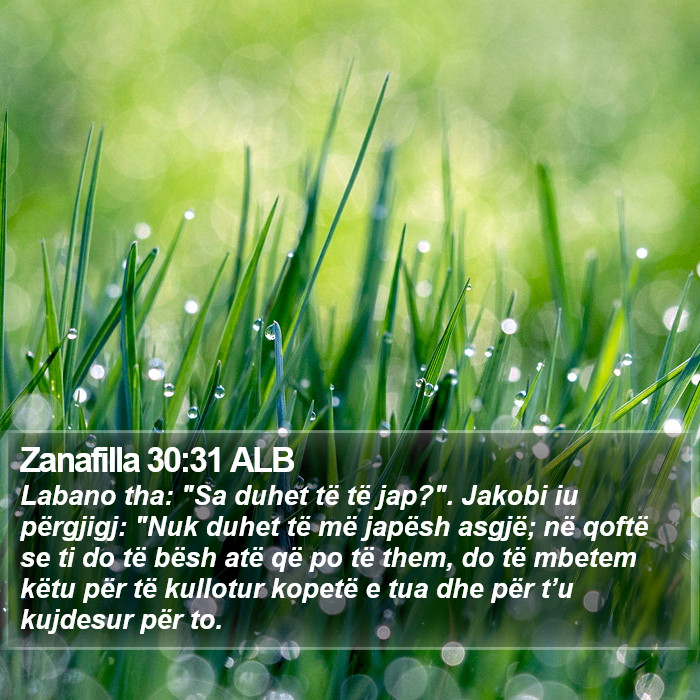 Zanafilla 30:31 ALB Bible Study