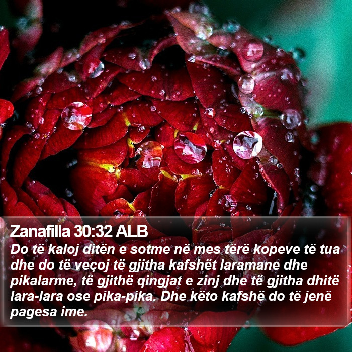 Zanafilla 30:32 ALB Bible Study