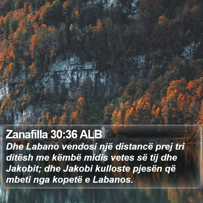 Zanafilla 30:36 ALB Bible Study