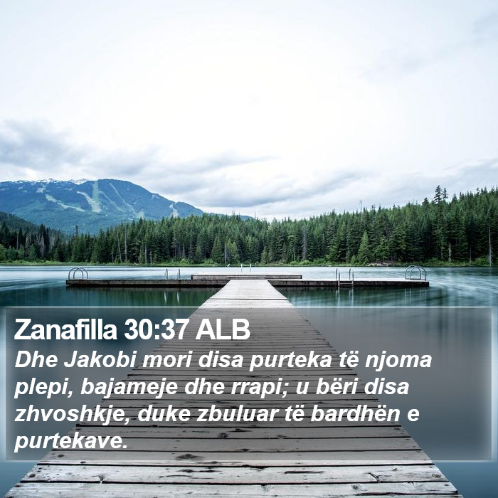 Zanafilla 30:37 ALB Bible Study