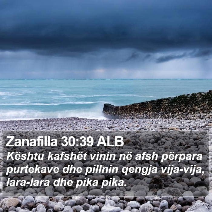 Zanafilla 30:39 ALB Bible Study