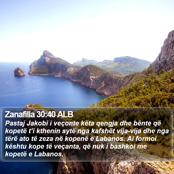 Zanafilla 30:40 ALB Bible Study