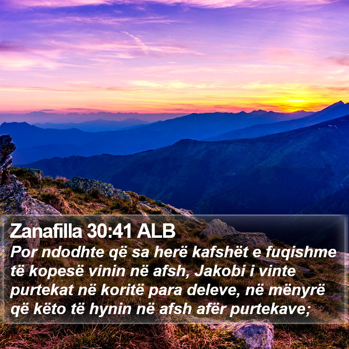 Zanafilla 30:41 ALB Bible Study