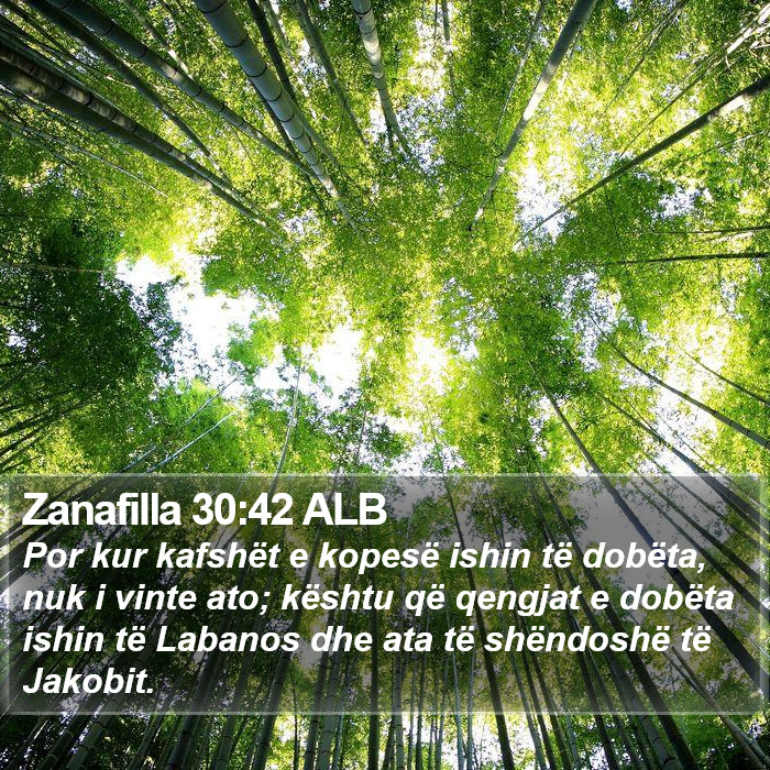 Zanafilla 30:42 ALB Bible Study