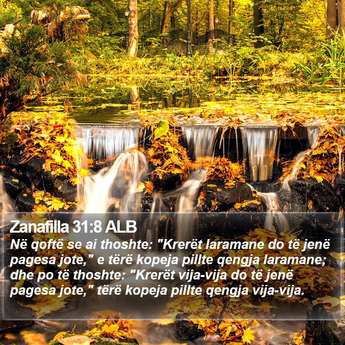 Zanafilla 31:8 ALB Bible Study