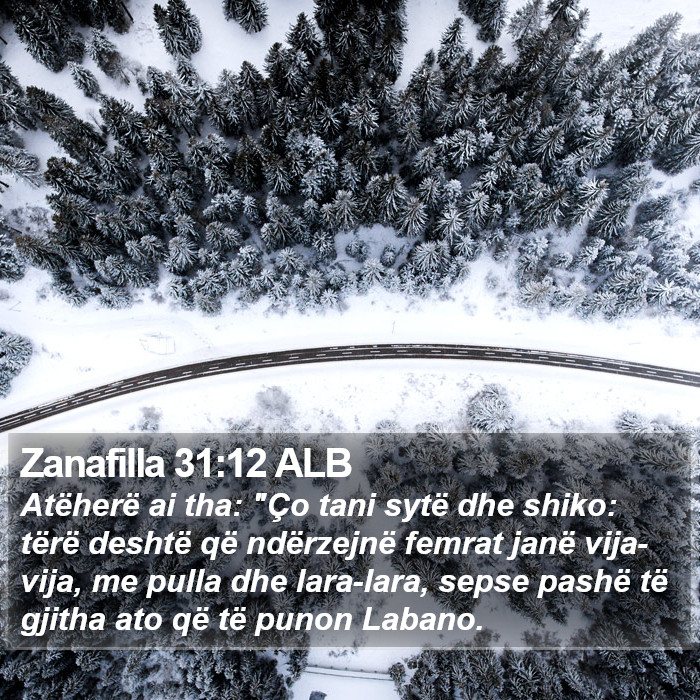 Zanafilla 31:12 ALB Bible Study