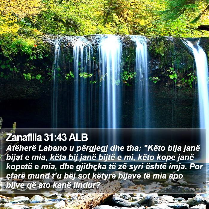 Zanafilla 31:43 ALB Bible Study