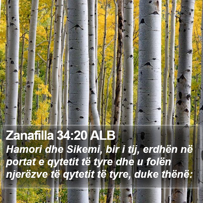 Zanafilla 34:20 ALB Bible Study