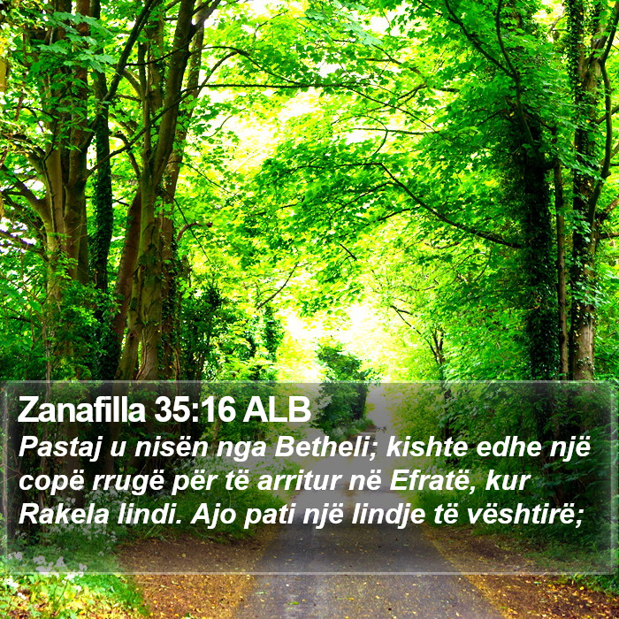 Zanafilla 35:16 ALB Bible Study
