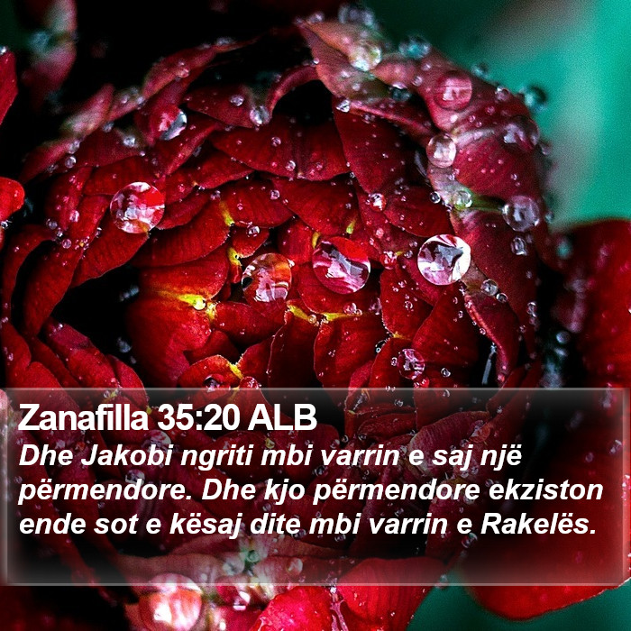 Zanafilla 35:20 ALB Bible Study