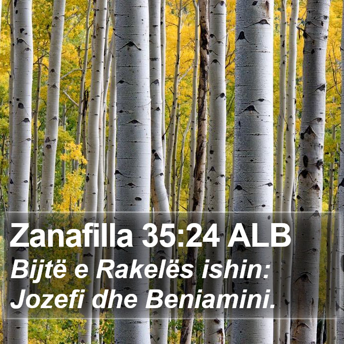 Zanafilla 35:24 ALB Bible Study
