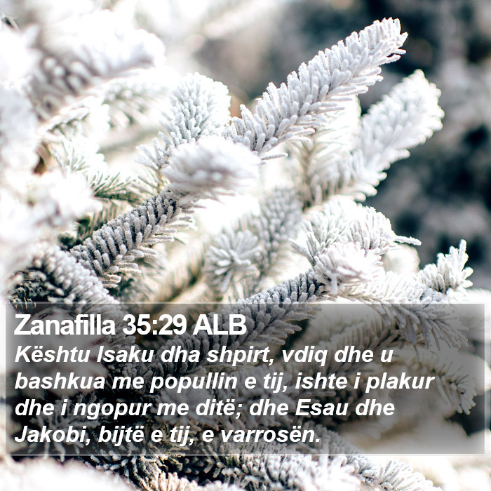 Zanafilla 35:29 ALB Bible Study