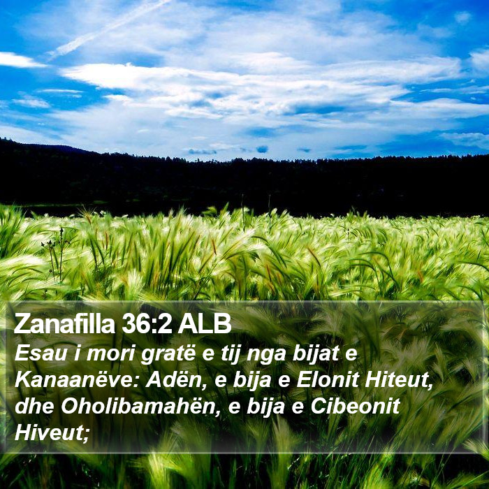 Zanafilla 36:2 ALB Bible Study