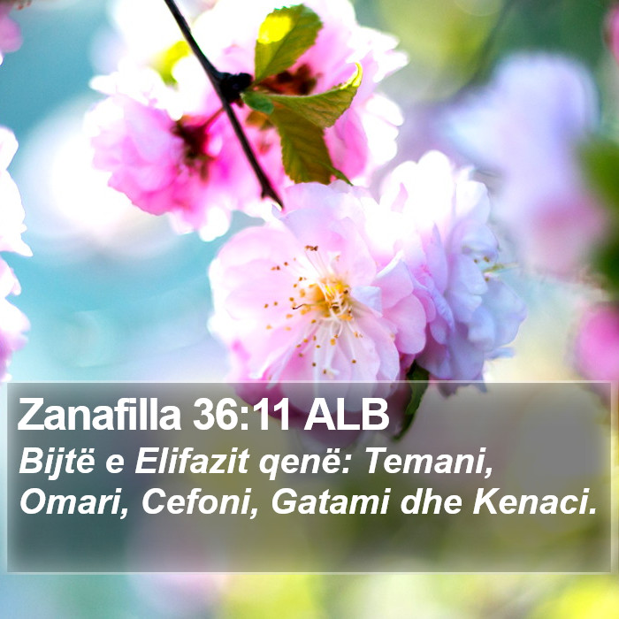 Zanafilla 36:11 ALB Bible Study