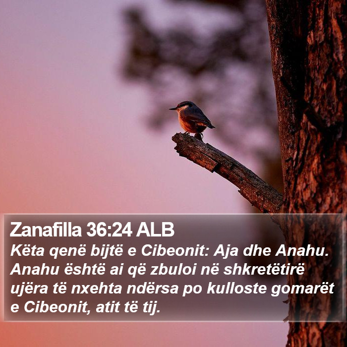 Zanafilla 36:24 ALB Bible Study