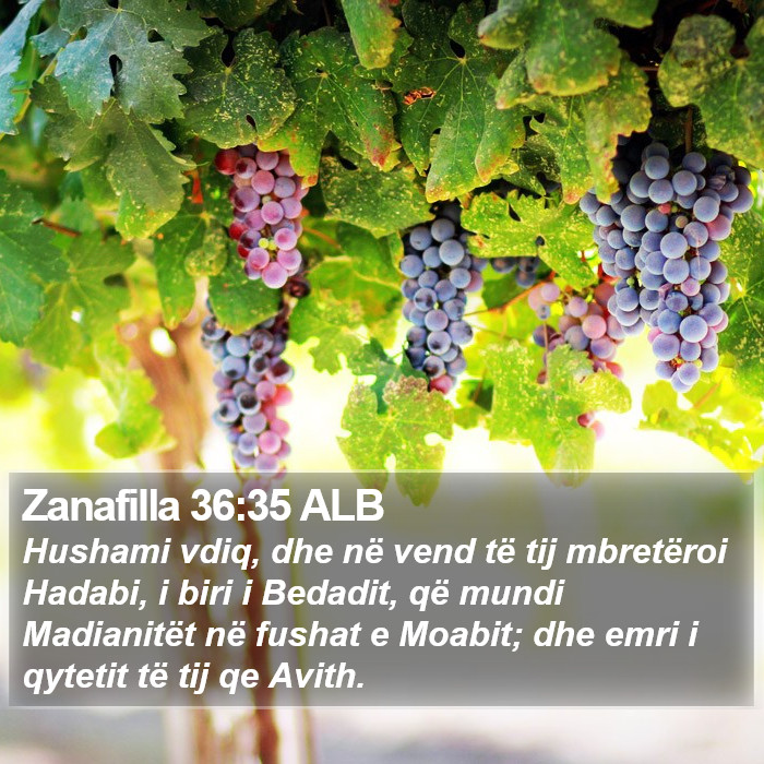 Zanafilla 36:35 ALB Bible Study