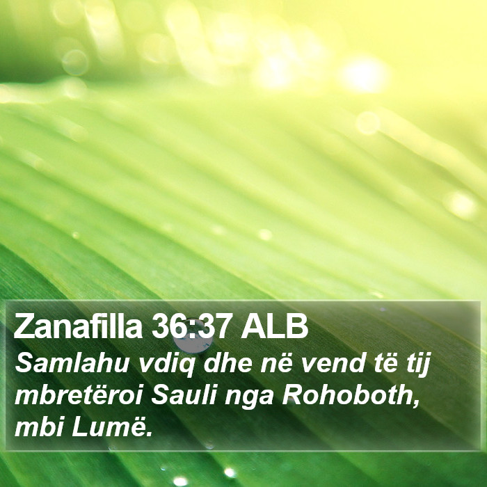 Zanafilla 36:37 ALB Bible Study